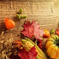 Autumn background