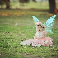 Little fairy