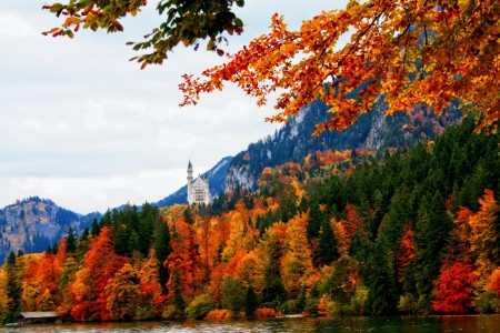 Autumn Colors near Bavarian Castle - season, fall, trees, neuschwanstein, alps, leaves, mountains