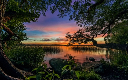 Sunset at Lake - sky, water, colors, tree, stones