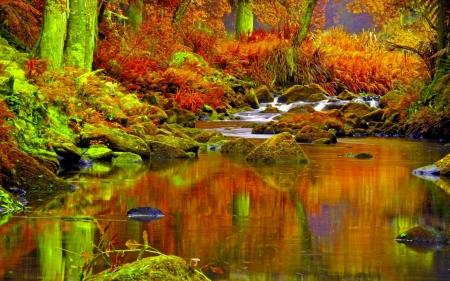 Autumn colors - color, autumn, forest, river