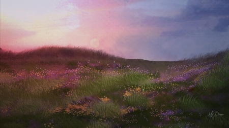 Sunrise Hill - flowers, Firefox Persona theme, sunset, summer, sunrise, field, sky, wild flowers