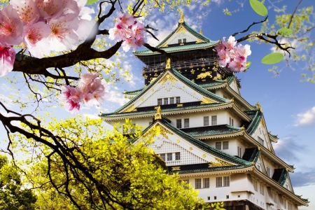 Cherry Blossoms - japan, nature, cherry blossom, sakura, scenery, castle