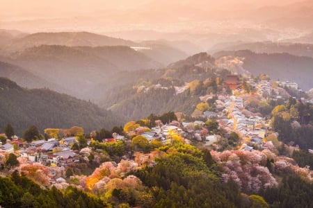 Hilltop Village - village, hill, japan, nature, scenery, mountain, japanese