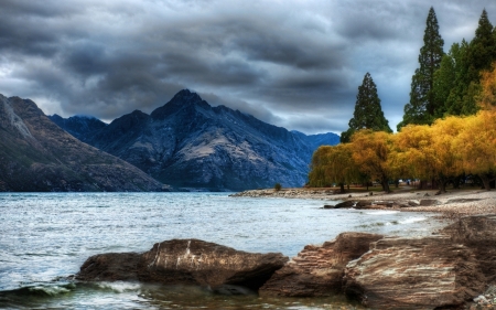 Autumn Forest and River