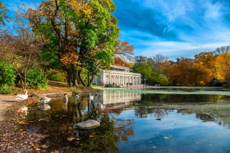 â™¥ - lake, swans, nature, birds