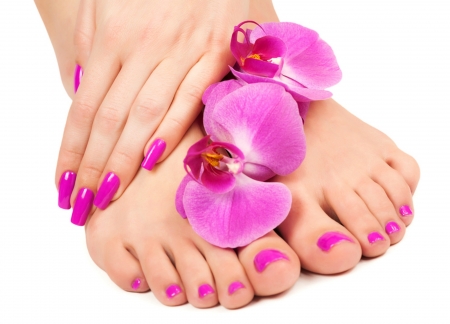 Pink - white, manicure, pink, orchid, hand, nails, flower, legs