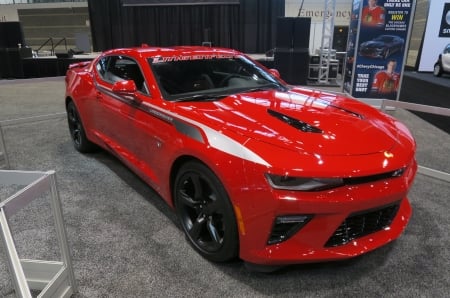 chevy camaro - sports car, ss, chevy, camaro