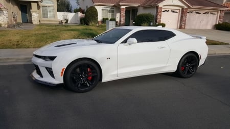 camaro - sports car, ss, chevy, camaro