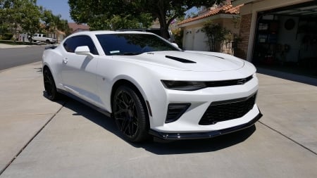 camaro - sports car, ss, chevy, camaro