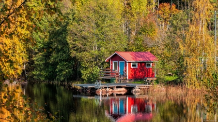 Tiny house on the lake - house, trees, cabin, forest, reflection, tiny, fall, mirror, tranquility, autumn, lake