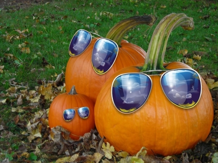 Happy Halloween! - funny, green, halloween, orange, cool, pumpkin, sunglasses