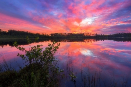 Sunrise in Kivilampi - clouds, waterscapes, attractions in dreams, photography, sunrise, colors, fall, nature, autumn, lakes, love four seasons, sky