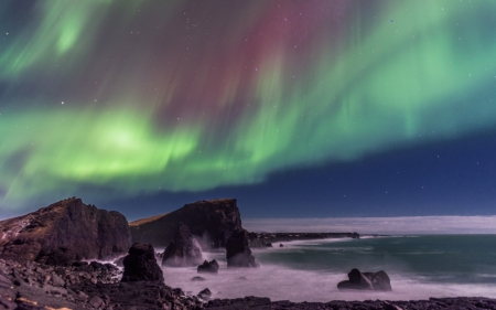 Aurora Borealis - borealis, Aurora, nature, tree