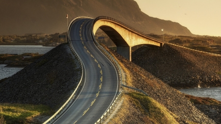 Road - nature, grass, road, treee