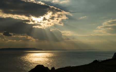 ocean - nature, sky, ocean, tree