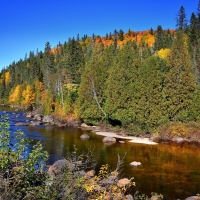 Autumn Landscape