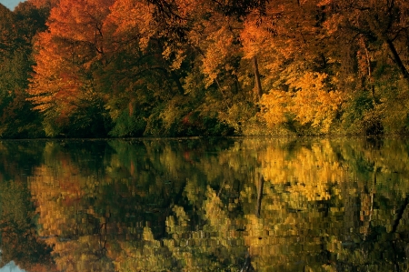 Autumn Reflection - colorful, trees, nature, pond, autumn, lake, forest, reflection