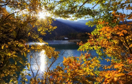 Autumn Sun - nature, lake, autumn, sun