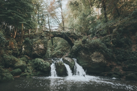 Forest Waterfalls - plants, waterfalls, forest, nature