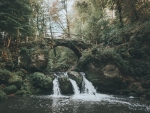 Forest Waterfalls