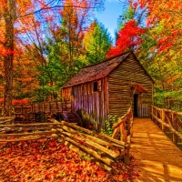 Grist Mill at Cades Cove, Smoky Mountains