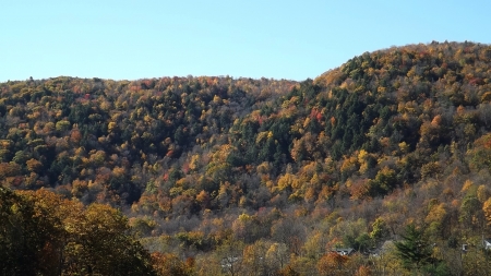 Autumn colors in the Hilltowns - red and gold leaves, hilltown fall colors, fall 2016, autumn in Western MA