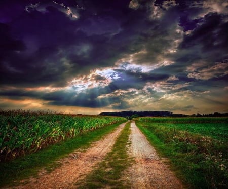 Stormy weather - storm, road, clouds, sky