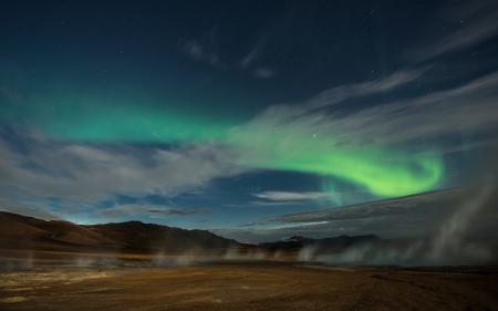 Aurora Borealis - aurora, tree, borealis, nature