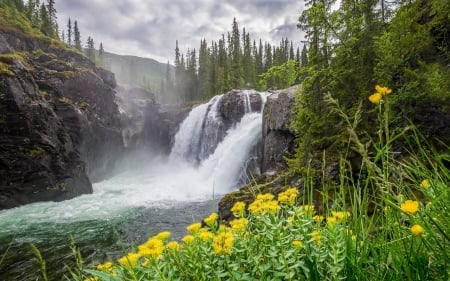 Waterfall - sky, waterfall, leaf, tree, nature, jungle