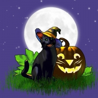 Witch Cat