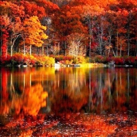 Fall Reflection in the River