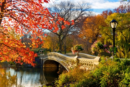 Central park in autumn - central, autumn, travel, trees, park, fall, lantern, beautiful, river, america, flowers, bridge