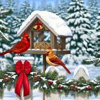 Cardinals at Christmas F2Cmp