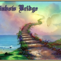 Rainbow bridge