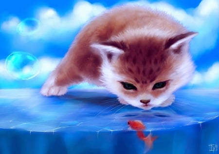 Cat art - art, abstract, cat, fish, kitten