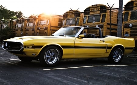 1969 Ford Mustang Boss 302