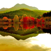 Autumn Forest in the Lake