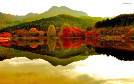 Autumn Forest in the Lake - trees, nature, autumn, lake, forest, reflection, mountain