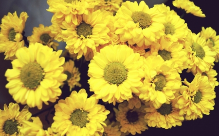 Yellow Flowers - nature, bouquet, flowers, yellow