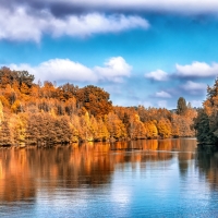 Autumn Lake Trees Reflection