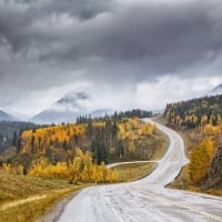 Road alongside Autumn Forest Trees