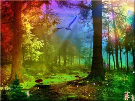 Rain forest - forest, manipulation, rain, tree, bird