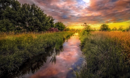 Landscape - river, landscape, field, tree