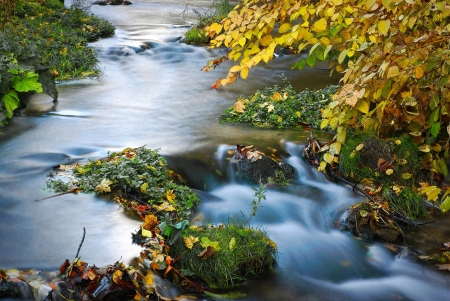 Fuzzy Water - nature, trees, forest, river, stream, fuzzy, waterfall, foliage