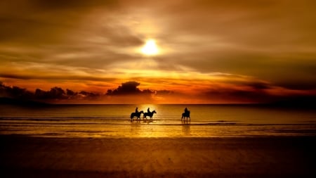 Sunset - horses, nature, sunset, river