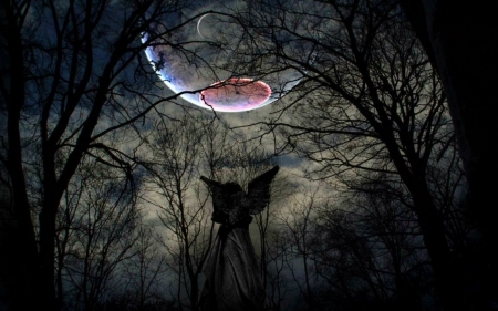 â€¢áƒ¦âœ¿áƒ¦â€¢ - moon, halloween, art, angel, dark, fantasy