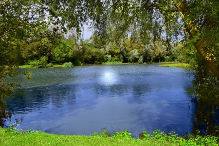 Autumn Lake - branches, autumn, lake, landscape, water, foliage, nature, reflection, pond