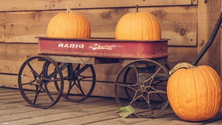 Pumpkins - pumpkins, food, cart, wood