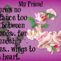 MY FRIEND